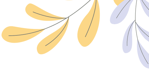 Start Your Dream Dropshipping Business with Dropifypros