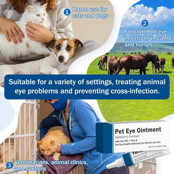 Pet Eye Cream for Cats, Dogs, Puppies, Kittens, Horses, Cattle, Sheep, Birds —