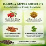 Berberine 1500 mg – with ALA, Ceylon Cinnamon, Gymnema & Black Pepper 900 mg | Blood Sugar & Metabolic Support | 90 Vegan Capsules 30 Day Supply
